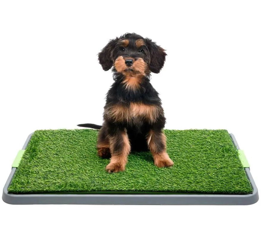 Tapete reutilizable para mascotas