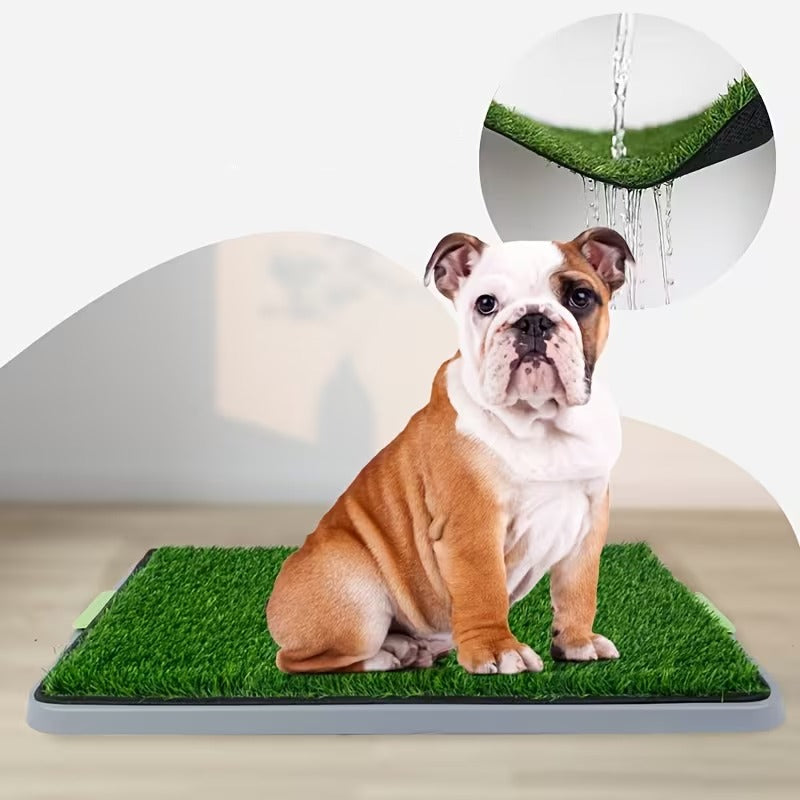 Tapete para Mascotas + Cepillo Deslanador