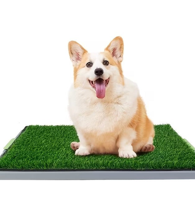 Tapete para Mascotas + Cepillo Deslanador